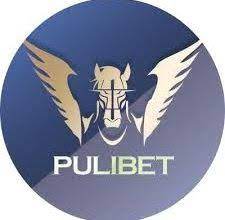 Pulibet Tv